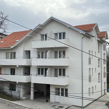 Milutinn-kruska-magnolija *