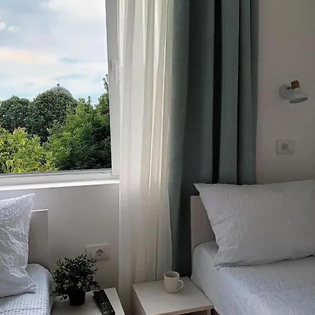 Milutinn-kruska-magnolija *