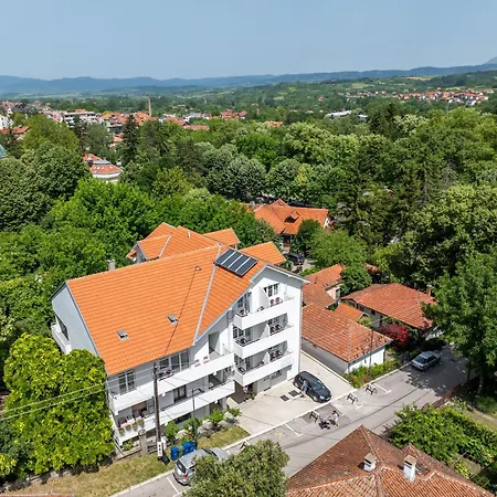 Milutinn-kruska-magnolija *