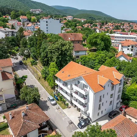 Milutinn-kruska-magnolija